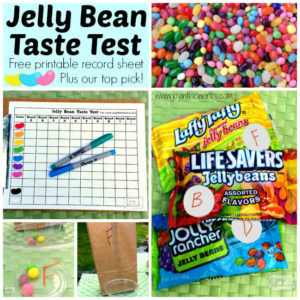 Jelly Bean Taste Test is the perfect Family Fun Activity for Spring! This time, we polled several friends and family members and are sharing our top picks with you! Plus, you can download your own Jelly Bean Taste Test Record Sheet to conduct your own! Can't wait to hear what you pick as your favorite!